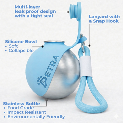 Never Let Your Dog Drink Dirty Water Again