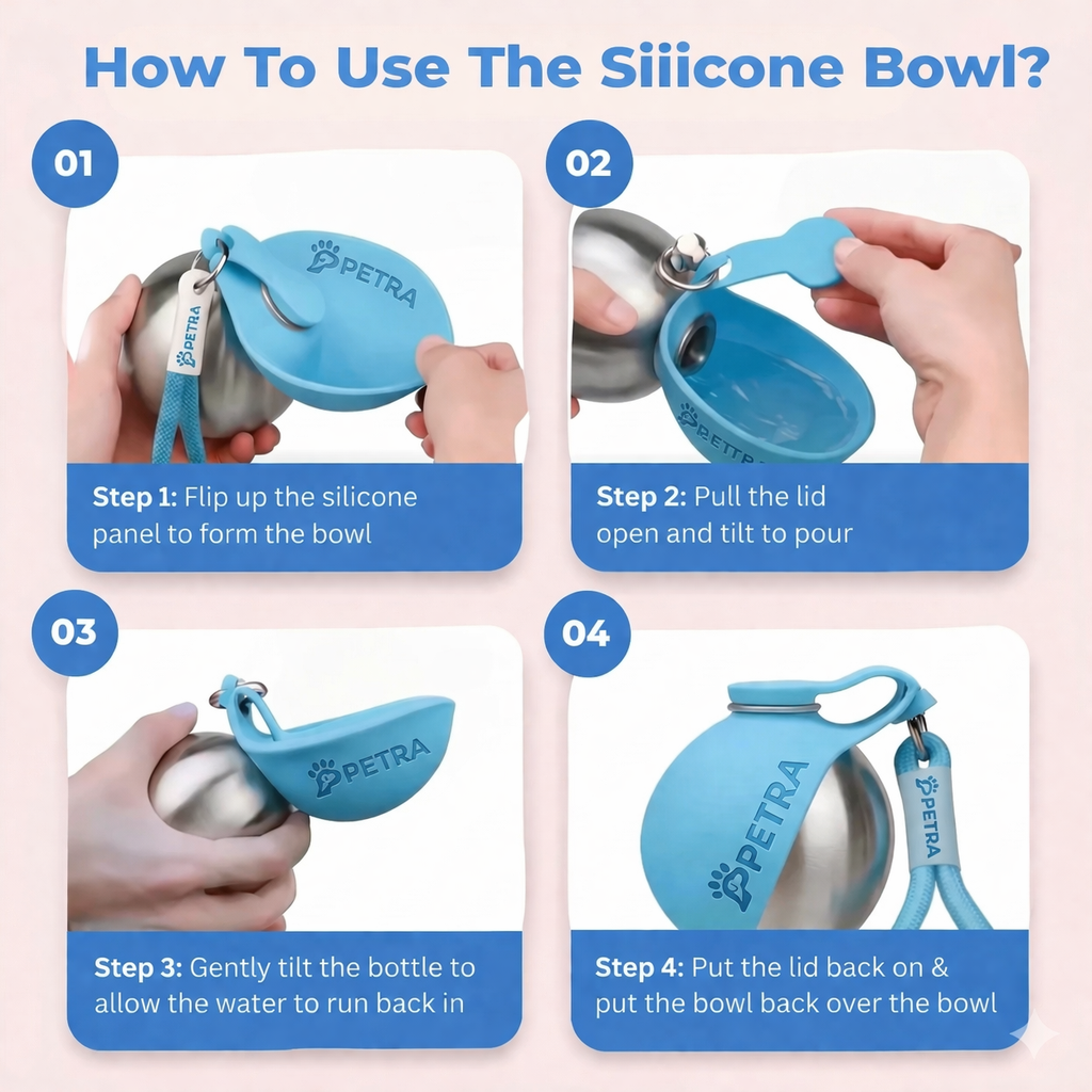 Never Let Your Dog Drink Dirty Water Again