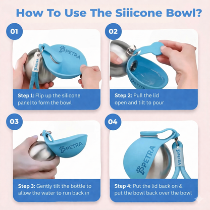 Never Let Your Dog Drink Dirty Water Again